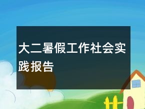大二暑假工作社會(huì)實(shí)踐報(bào)告