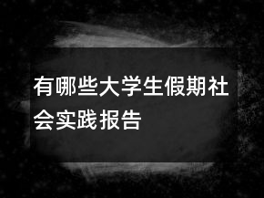 有哪些大學(xué)生假期社會實(shí)踐報(bào)告