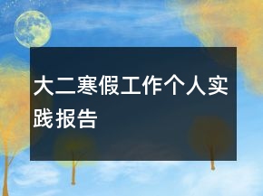 大二寒假工作個人實(shí)踐報告