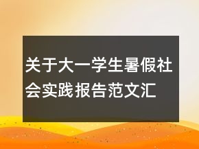 關(guān)于大一學(xué)生暑假社會實踐報告范文匯總