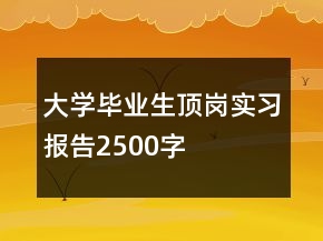 大學(xué)畢業(yè)生頂崗實(shí)習(xí)報告2500字
