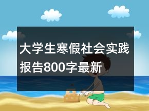 大學(xué)生寒假社會(huì)實(shí)踐報(bào)告800字最新