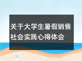 關(guān)于大學(xué)生暑假銷售社會實(shí)踐心得體會