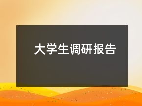 大學生調研報告