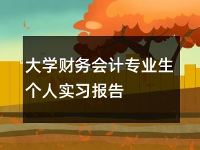 大學(xué)財(cái)務(wù)會(huì)計(jì)專(zhuān)業(yè)生個(gè)人實(shí)習(xí)報(bào)告