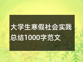 大學(xué)生寒假社會(huì)實(shí)踐總結(jié)1000字范文