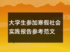 大學(xué)生參加寒假社會(huì)實(shí)踐報(bào)告參考范文