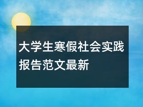 大學(xué)生寒假社會實踐報告范文最新