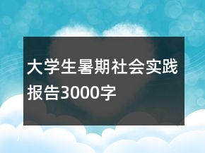 大學(xué)生暑期社會實踐報告3000字