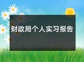 財(cái)政局個人實(shí)習(xí)報告
