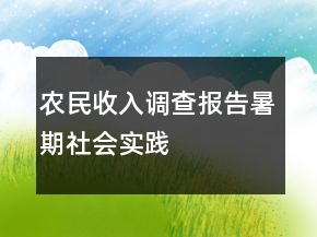 農(nóng)民收入調(diào)查報告暑期社會實踐