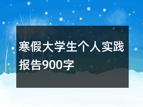 寒假大學(xué)生個人實踐報告900字