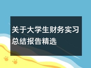 關于大學生財務實習總結報告精選