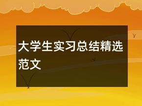 大學(xué)生實(shí)習(xí)總結(jié)精選范文