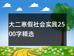大二寒假社會實踐2500字精選