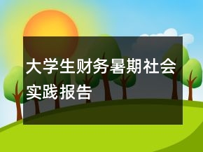 大學(xué)生財(cái)務(wù)暑期社會(huì)實(shí)踐報(bào)告