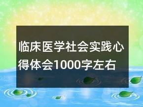 臨床醫(yī)學(xué)社會(huì)實(shí)踐心得體會(huì)1000字左右
