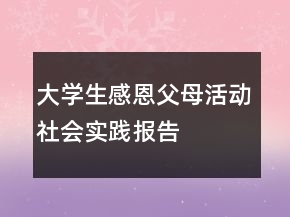 大學(xué)生感恩父母活動(dòng)社會(huì)實(shí)踐報(bào)告