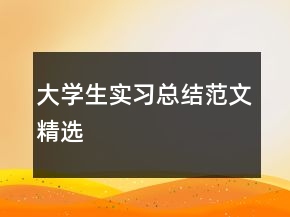 大學(xué)生實(shí)習(xí)總結(jié)范文精選