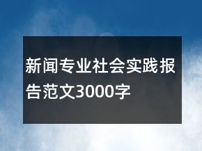 新聞專業(yè)社會實踐報告范文3000字
