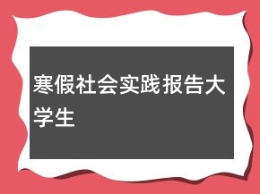 寒假社會(huì)實(shí)踐報(bào)告大學(xué)生