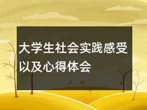 大學(xué)生社會(huì)實(shí)踐感受以及心得體會(huì)