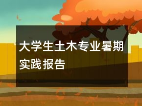 大學(xué)生土木專業(yè)暑期實踐報告