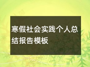 寒假社會實踐個人總結(jié)報告模板