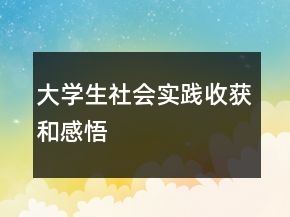 大學生社會實踐收獲和感悟
