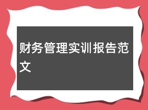 財(cái)務(wù)管理實(shí)訓(xùn)報(bào)告范文