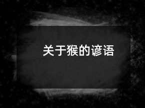 關(guān)于猴的諺語