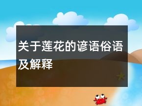關(guān)于蓮花的諺語俗語及解釋
