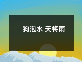 狗泡水 天將雨