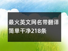 最火英文網(wǎng)名帶翻譯簡(jiǎn)單干凈218條
