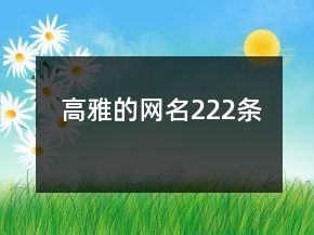 高雅的網(wǎng)名222條