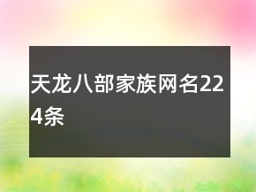 天龍八部家族網(wǎng)名224條