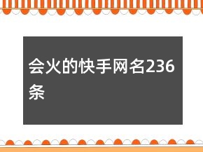 會(huì)火的快手網(wǎng)名236條