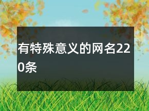 有特殊意義的網(wǎng)名220條