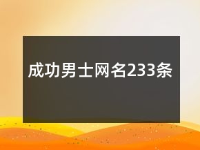 成功男士網(wǎng)名233條