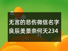 無言的悲傷微信名字：良辰美景奈何天234條
