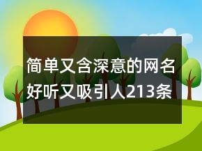 簡單又含深意的網(wǎng)名好聽又吸引人213條