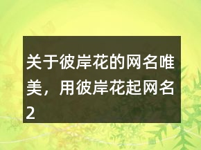 關(guān)于彼岸花的網(wǎng)名唯美，用彼岸花起網(wǎng)名246條