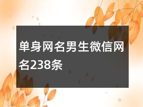 單身網名男生微信網名238條