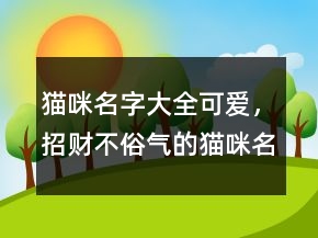 貓咪名字大全可愛，招財(cái)不俗氣的貓咪名字209條