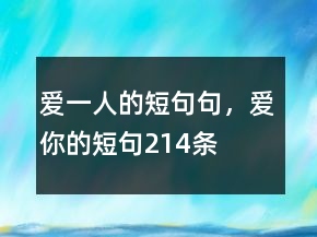 愛一人的短句句，愛你的短句214條
