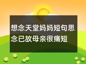 想念天堂媽媽短句思念已故母親很痛短句208條