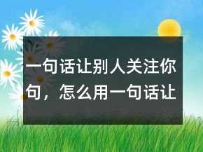 一句話讓別人關(guān)注你句，怎么用一句話讓我記住你211條