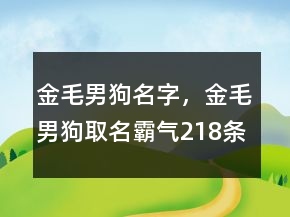 金毛男狗名字，金毛男狗取名霸氣218條