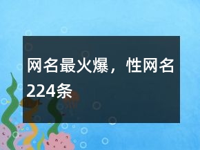 網(wǎng)名最火爆，性網(wǎng)名224條