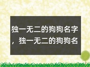 獨(dú)一無(wú)二的狗狗名字，獨(dú)一無(wú)二的狗狗名字200條
